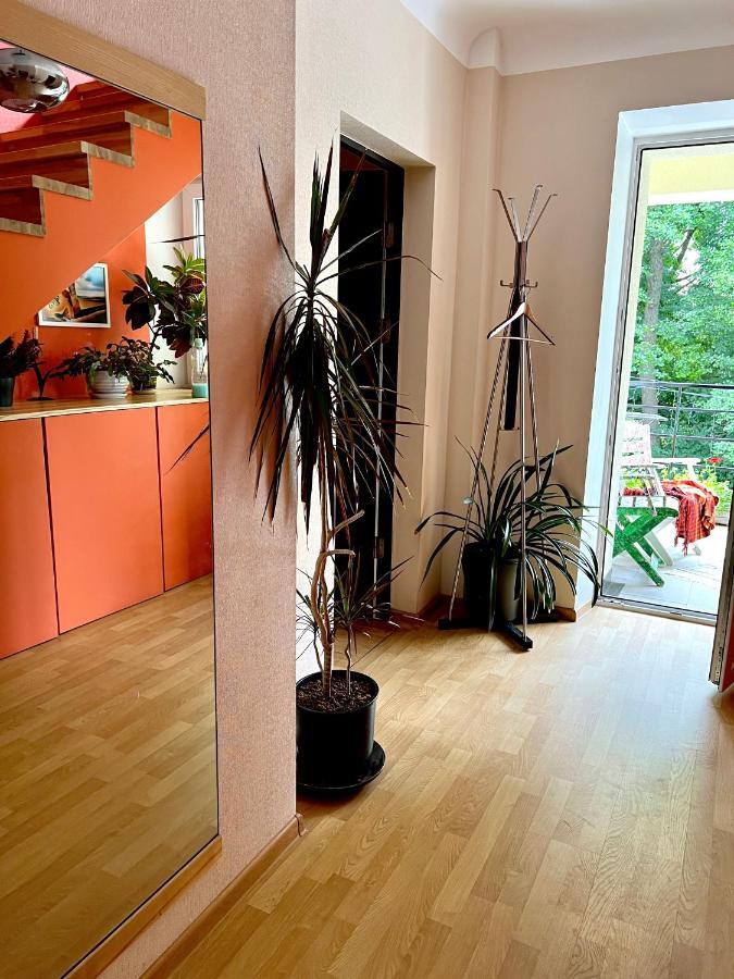 Studio Apartment And Free Airport Transfer รีกา ภายนอก รูปภาพ