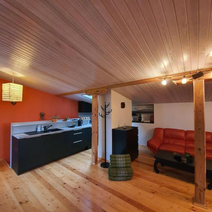 Studio Apartment And Free Airport Transfer รีกา ภายนอก รูปภาพ
