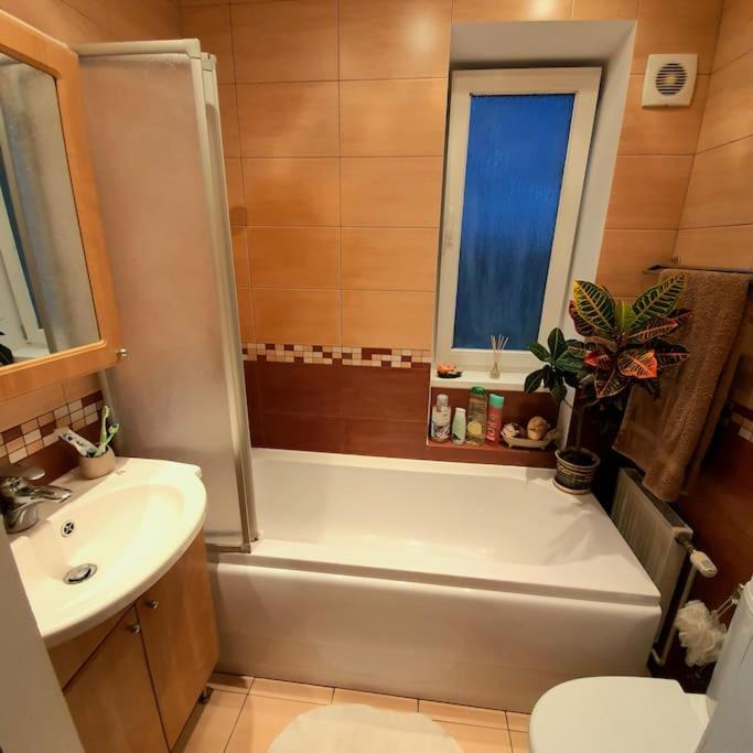 Studio Apartment And Free Airport Transfer รีกา ภายนอก รูปภาพ